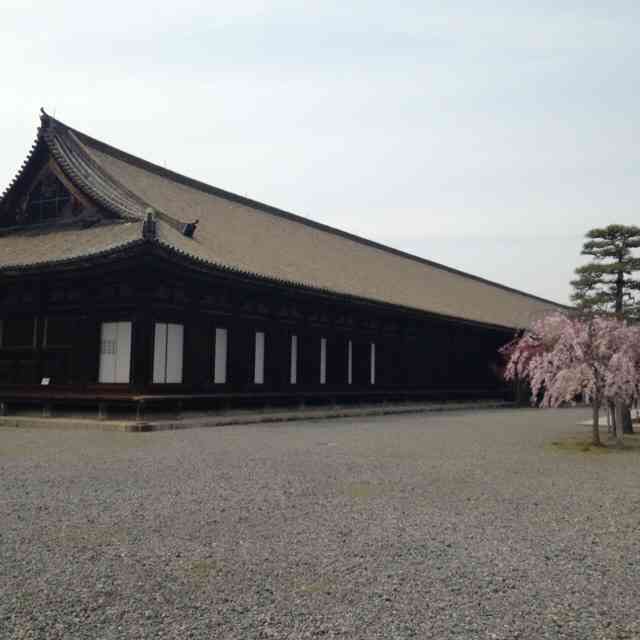 日本庭園に癒されるトピ