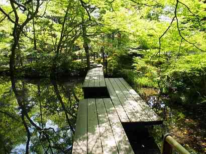 日本庭園に癒されるトピ
