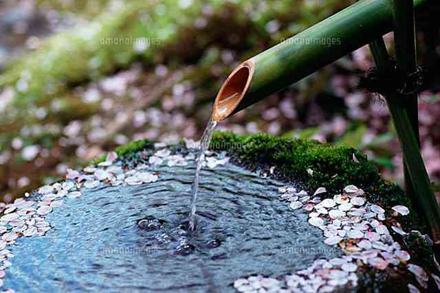 日本庭園に癒されるトピ