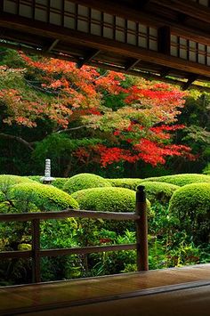 日本庭園に癒されるトピ