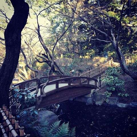 日本庭園に癒されるトピ