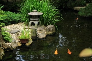 日本庭園に癒されるトピ