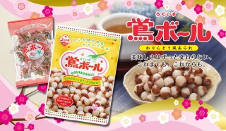 そう言えば食べたことない人気お菓子