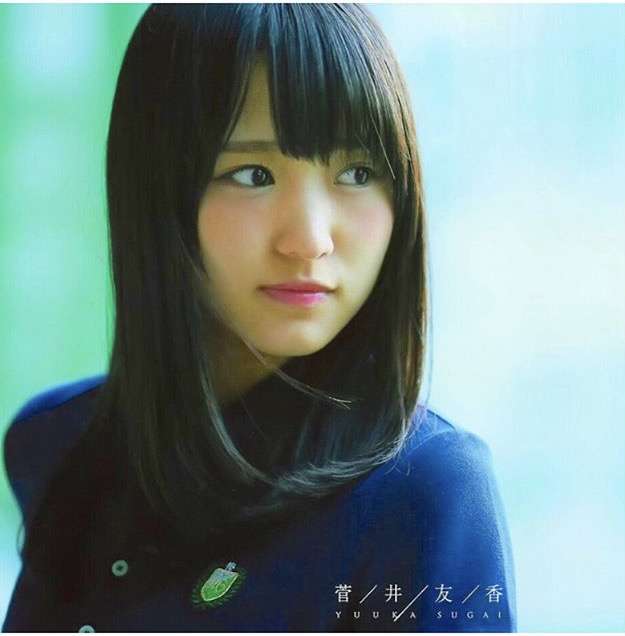 坂道グループで好きなメンバー
