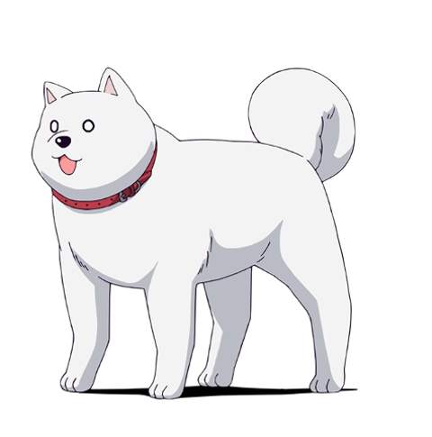 今期アニメの感想を書こう【2017年夏】