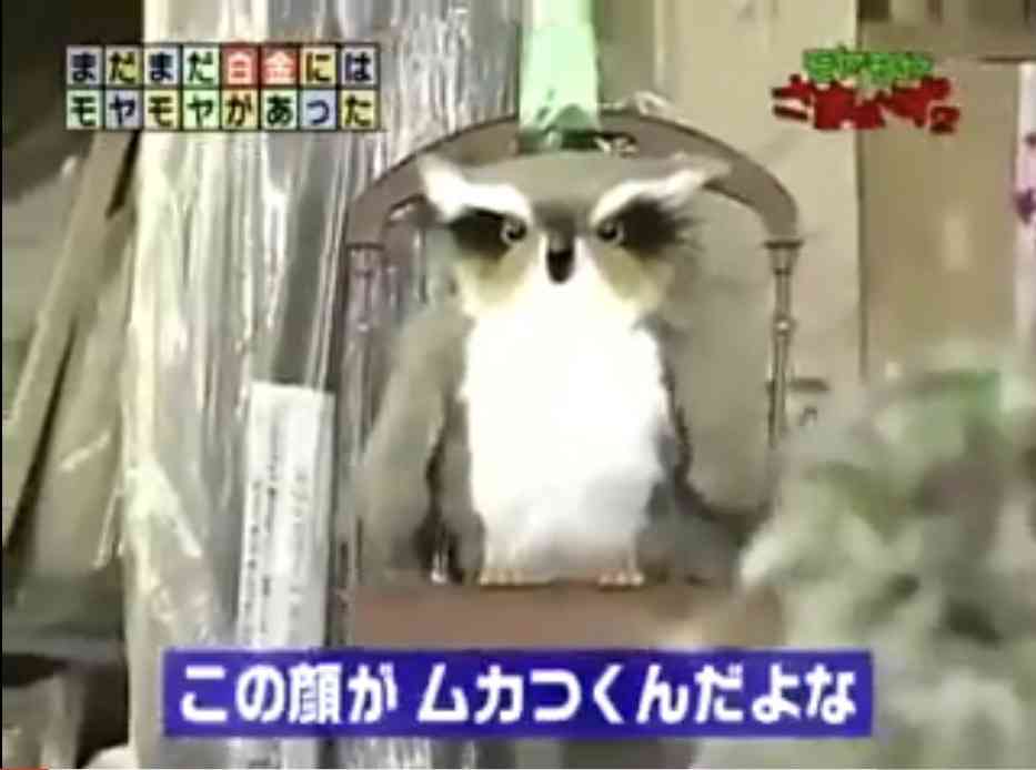 「モヤモヤさまぁ～ず２」の名場面と言えば？