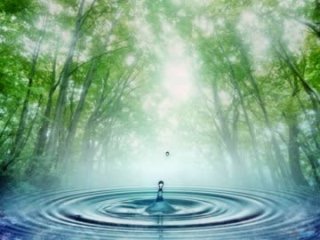 緑色で癒されよう