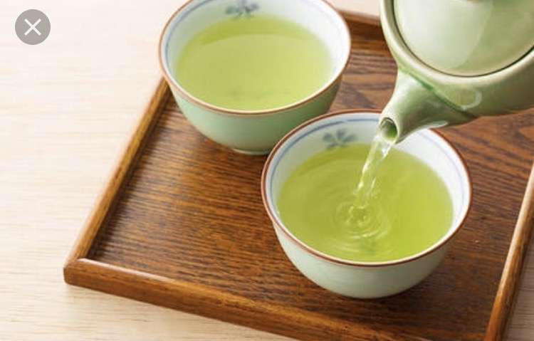 緑色で癒されよう