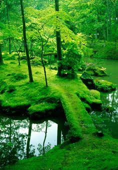 緑色で癒されよう