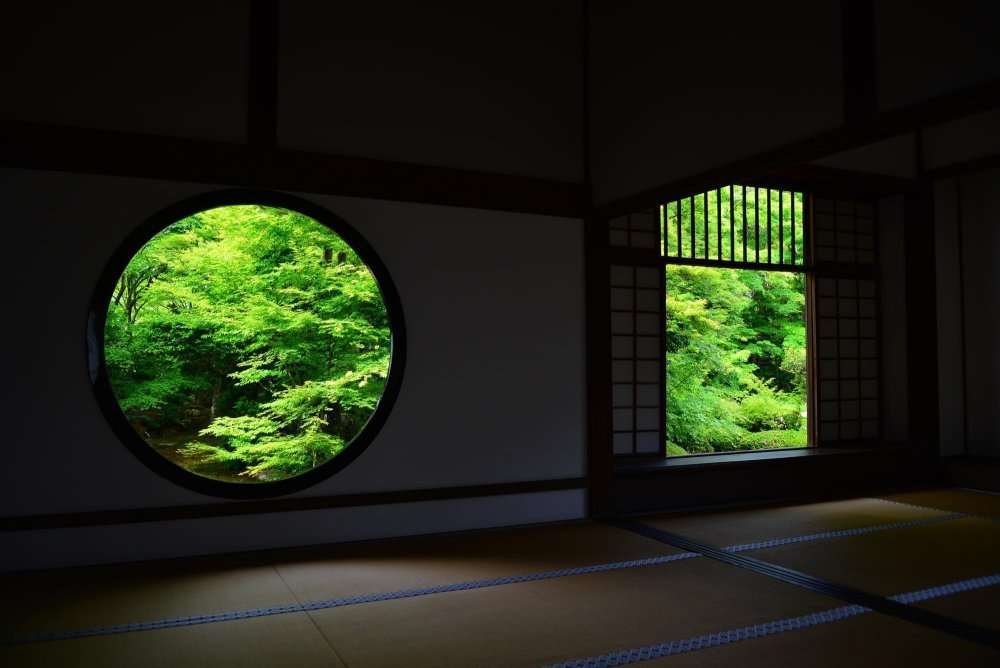 緑色で癒されよう