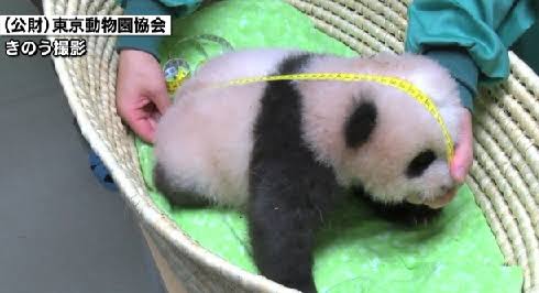 緑色で癒されよう