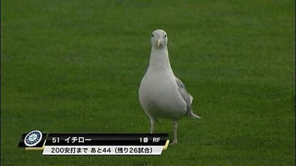 緑色で癒されよう