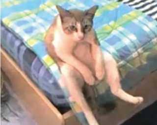 最近、旦那にときめいた事