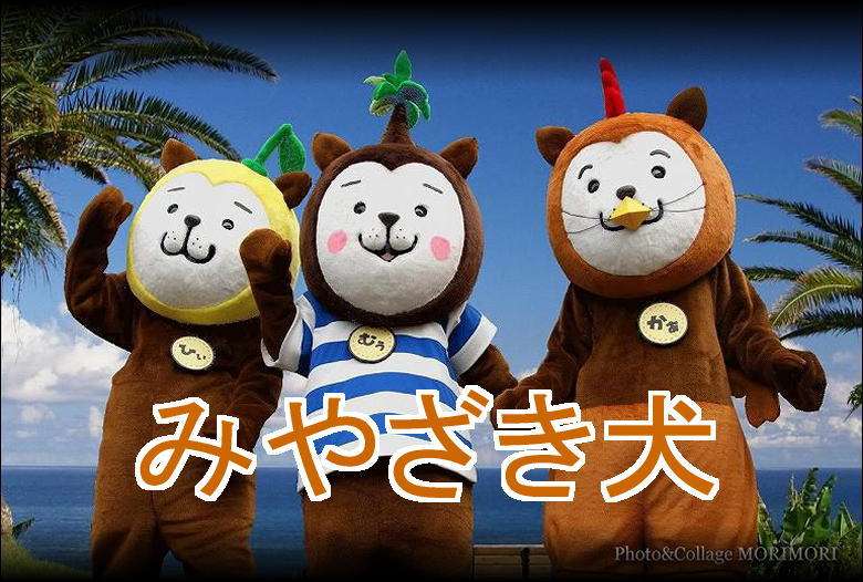 画像で自分の体型を説明してください