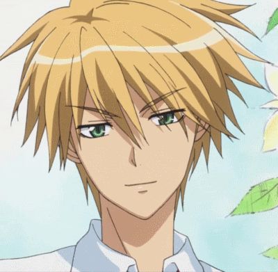 アニメ・漫画の美少年といえば誰ですか?