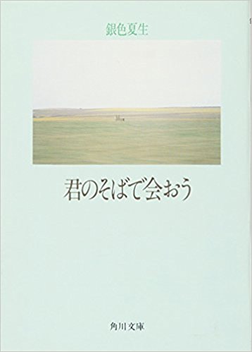 銀色夏生さんについてどう思いますか？
