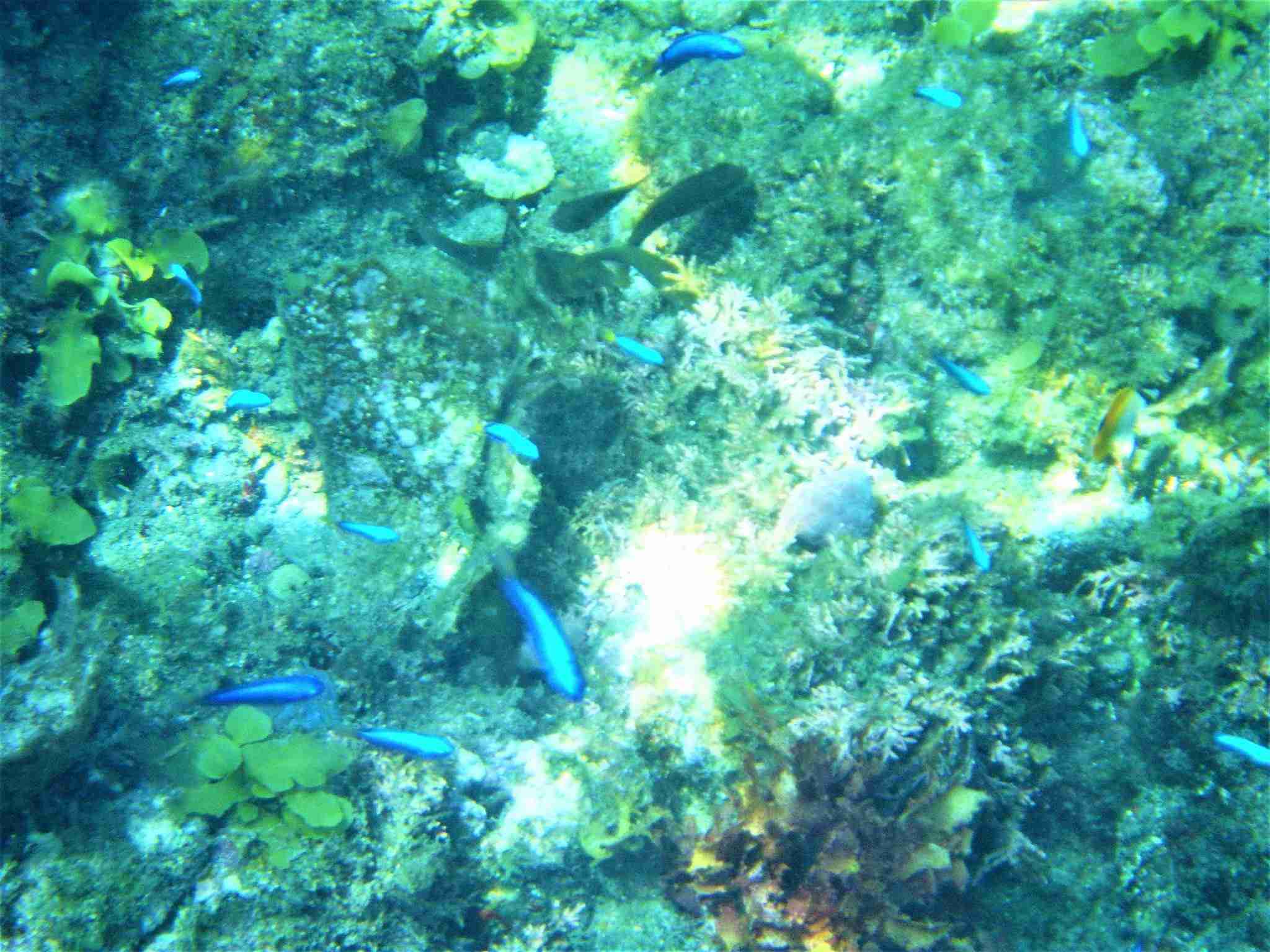 美しい海の写真を貼って癒されよう