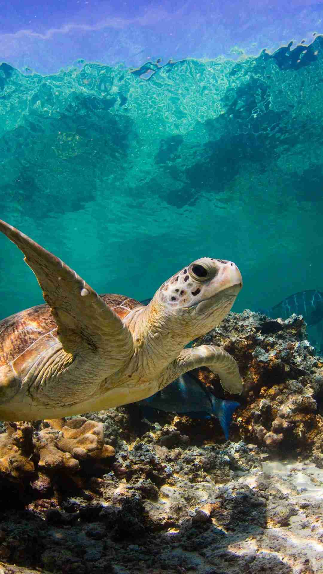 美しい海の写真を貼って癒されよう
