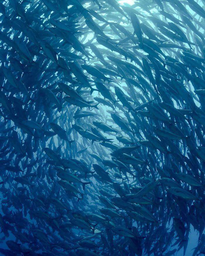 美しい海の写真を貼って癒されよう