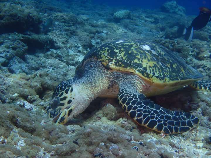 美しい海の写真を貼って癒されよう