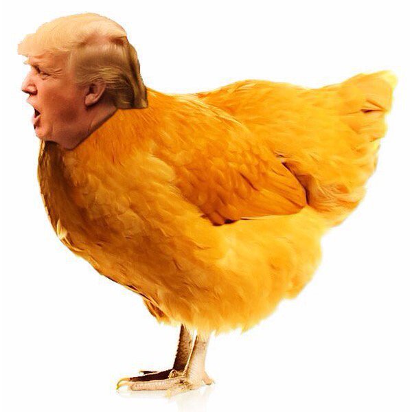 有名人のコラ画像を貼っていくトピpart2