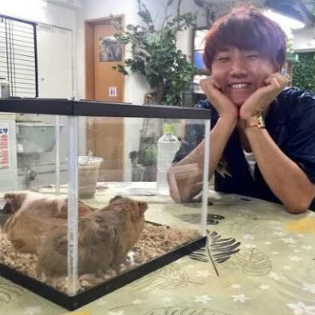 ブリッコだと思う男性有名人