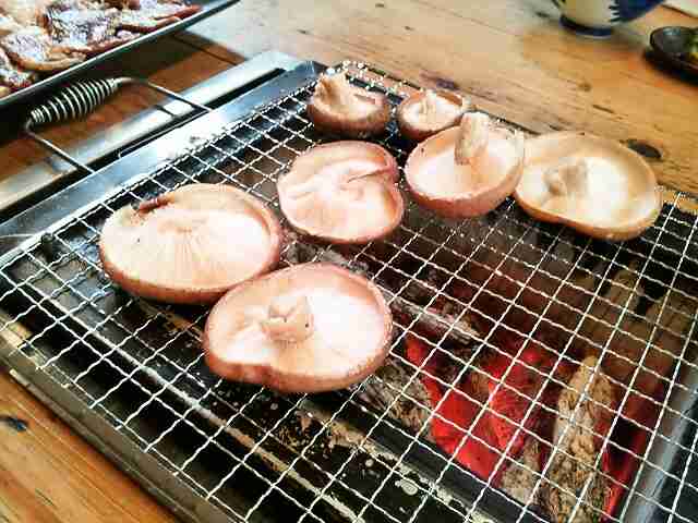 おすすめのキノコ料理
