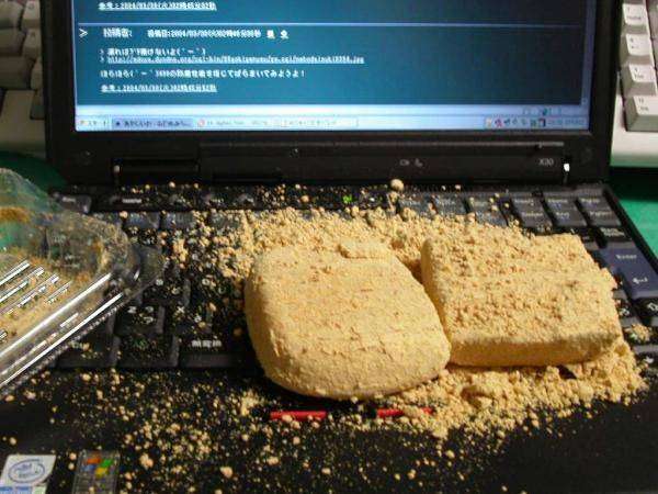 色んな意味で切なくなる画像を下さい