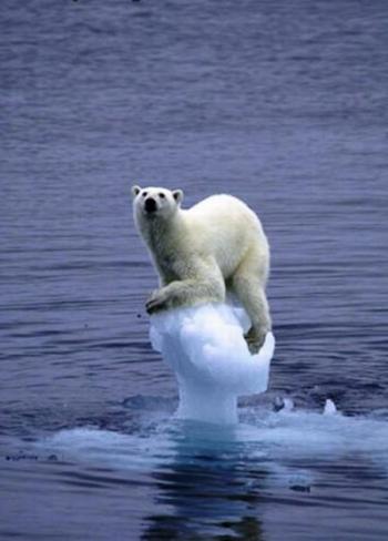 色んな意味で切なくなる画像を下さい