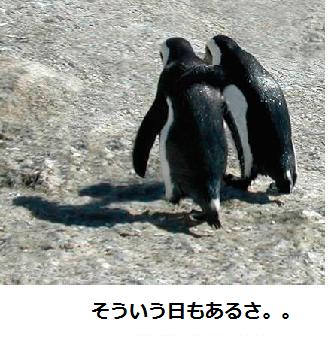 色んな意味で切なくなる画像を下さい