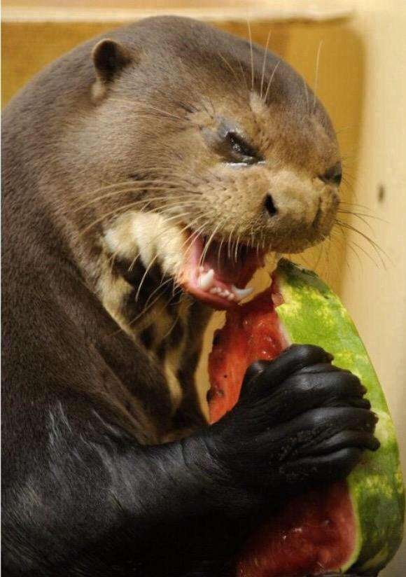 色んな意味で切なくなる画像を下さい