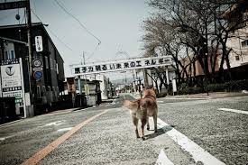 色んな意味で切なくなる画像を下さい