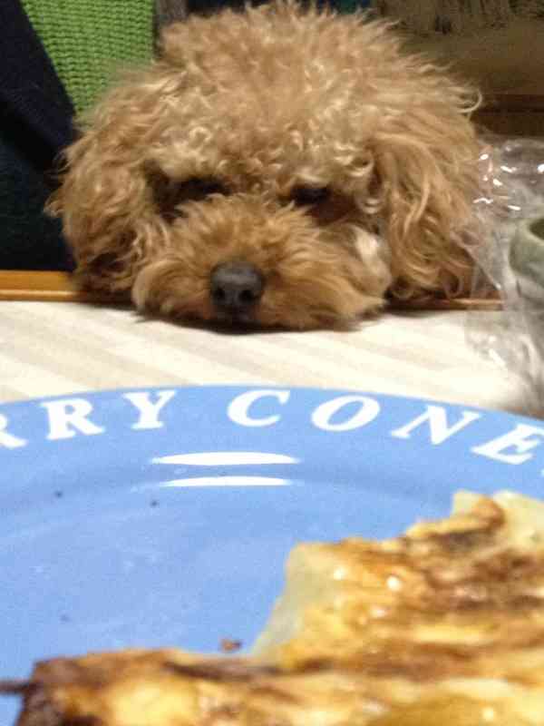 色んな意味で切なくなる画像を下さい