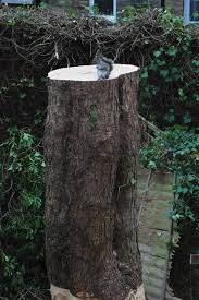 色んな意味で切なくなる画像を下さい