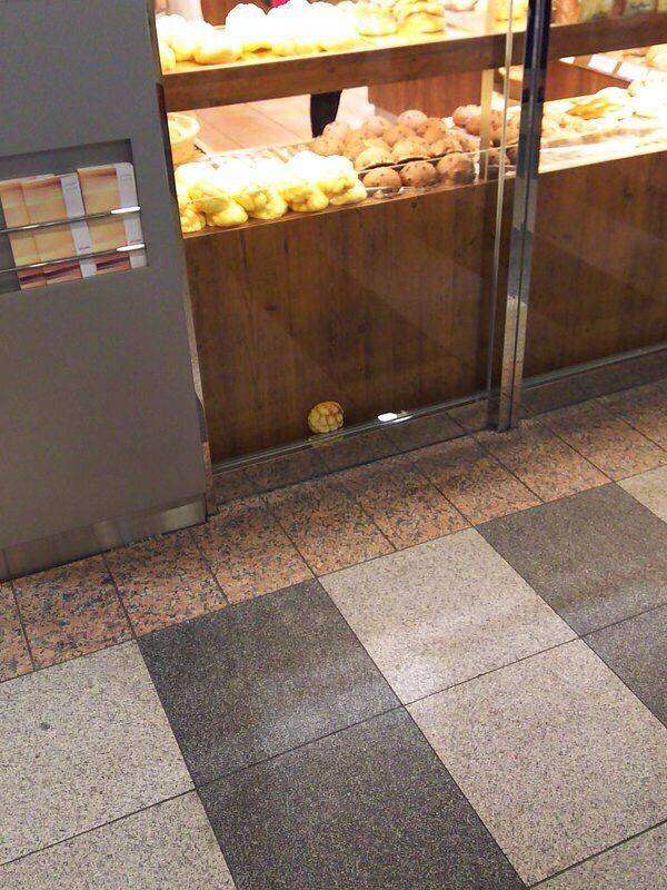 色んな意味で切なくなる画像を下さい