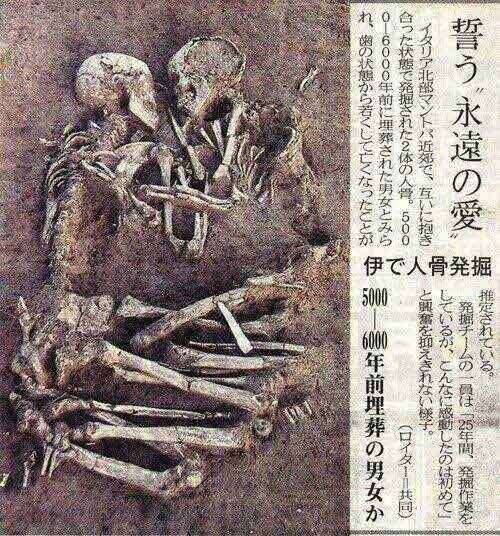 色んな意味で切なくなる画像を下さい