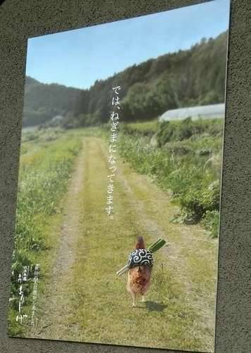 色んな意味で切なくなる画像を下さい