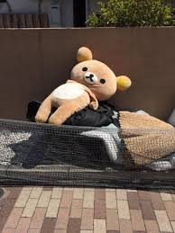 色んな意味で切なくなる画像を下さい