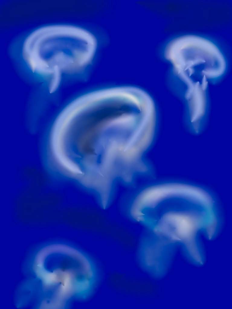 【お絵かきトピ】想像だけで動物を描こう！