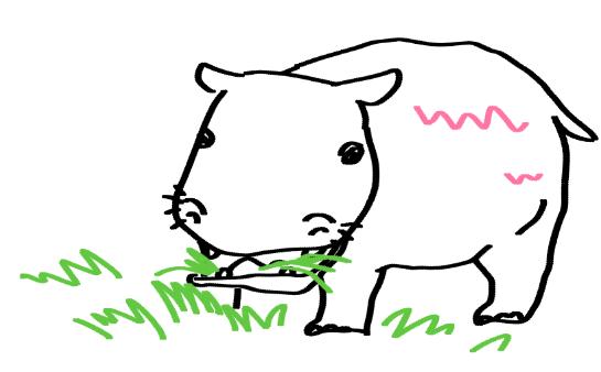 【お絵かきトピ】想像だけで動物を描こう！