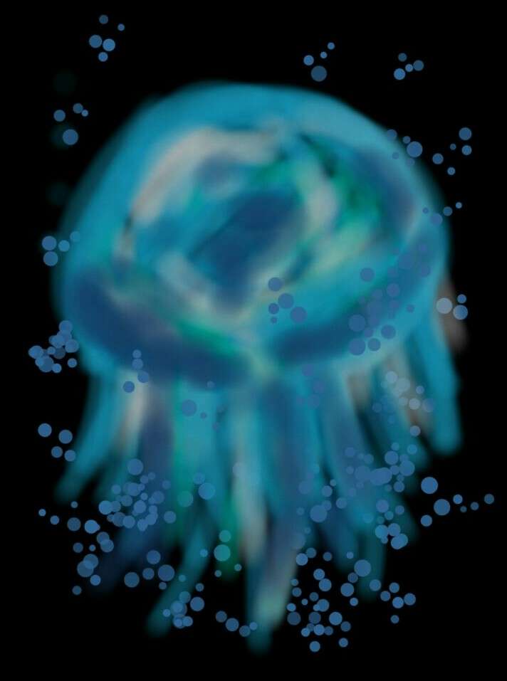 【お絵かきトピ】想像だけで動物を描こう！