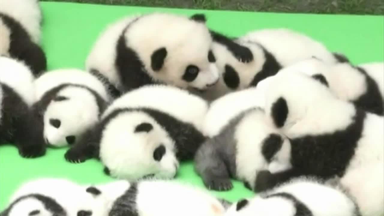 【匿名禁止】名前を入れて話すトピ