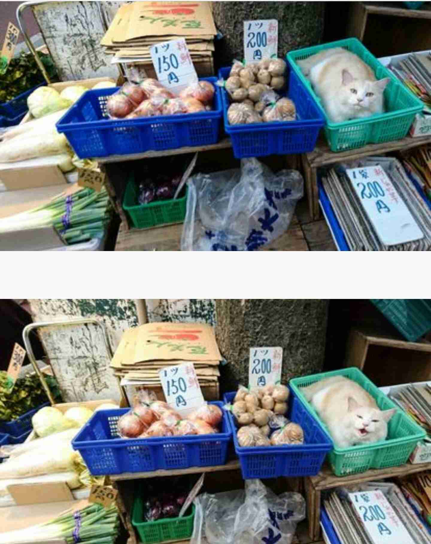 【匿名禁止】名前を入れて話すトピ