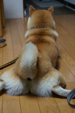 テーマが変っていく 画像トピ