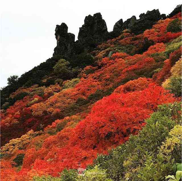 テーマが変っていく 画像トピ