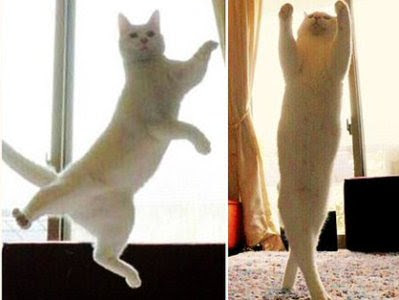 テーマが変っていく 画像トピ