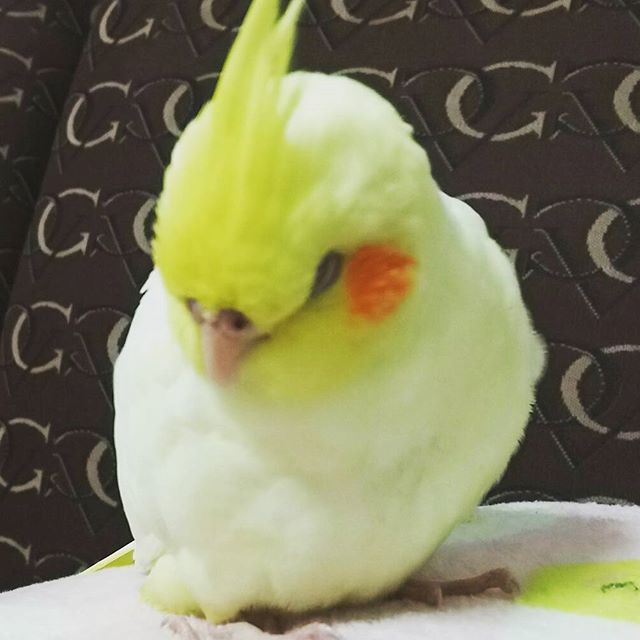 テーマが変っていく 画像トピ