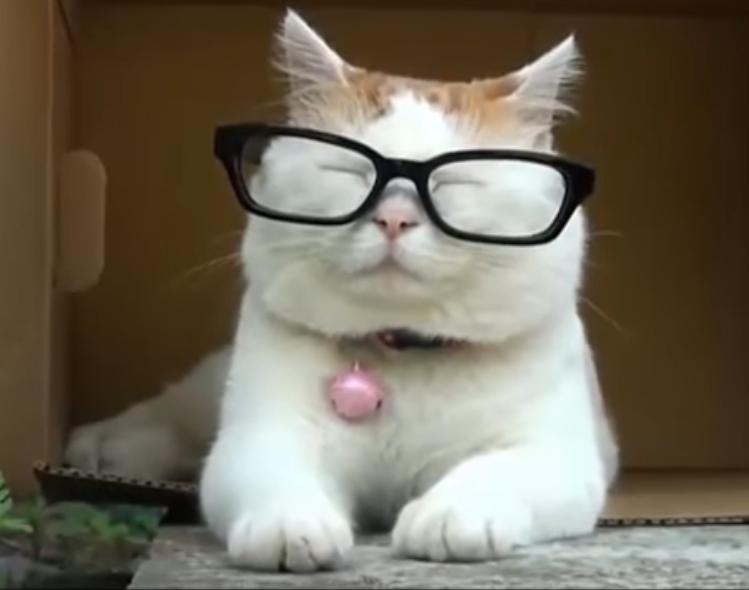 テーマが変っていく 画像トピ