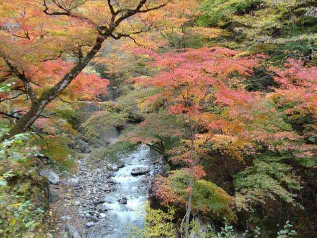 テーマが変っていく 画像トピ