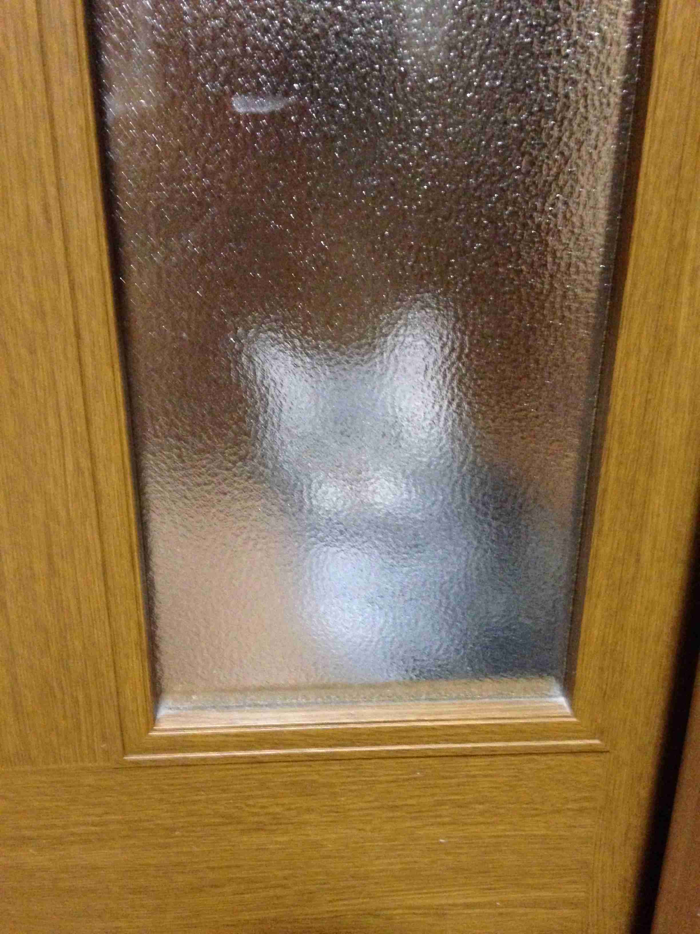こんなところに猫が!って画像を貼っていくトピ